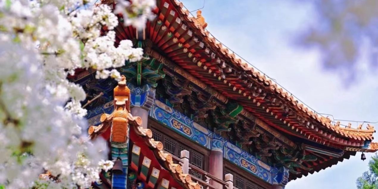 4e6eede03c95389b6f07c9325030d81