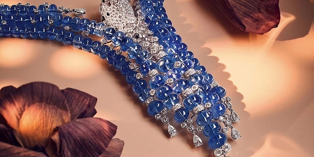 微信图片_20240229112615